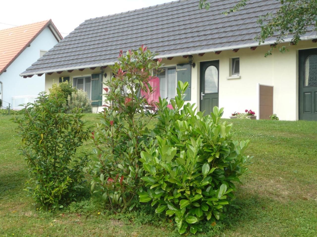 Chez Anny Et Jean Au Mittelbuehl-Reichshoffen Bed & Breakfast エクステリア 写真
