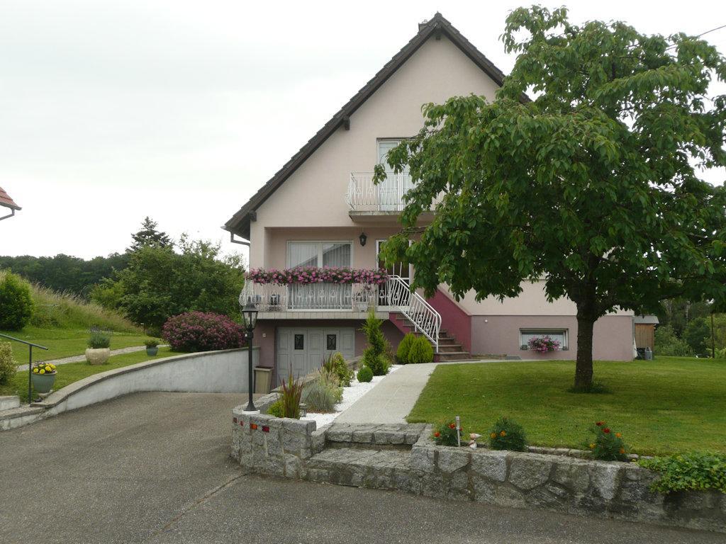 Chez Anny Et Jean Au Mittelbuehl-Reichshoffen Bed & Breakfast エクステリア 写真